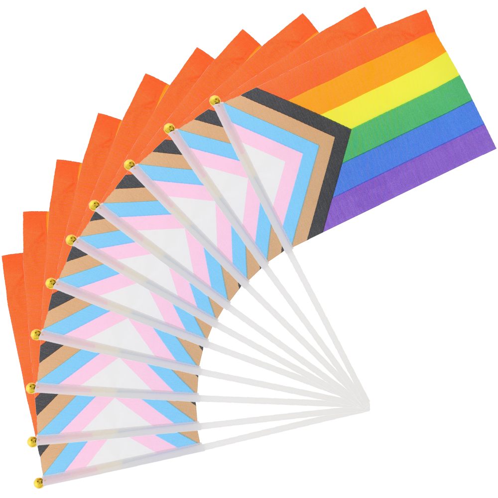 Zac's Alter Ego - Handheld Gay Pride Progress 30 x 16.5cm Flagge - Mehrfarben